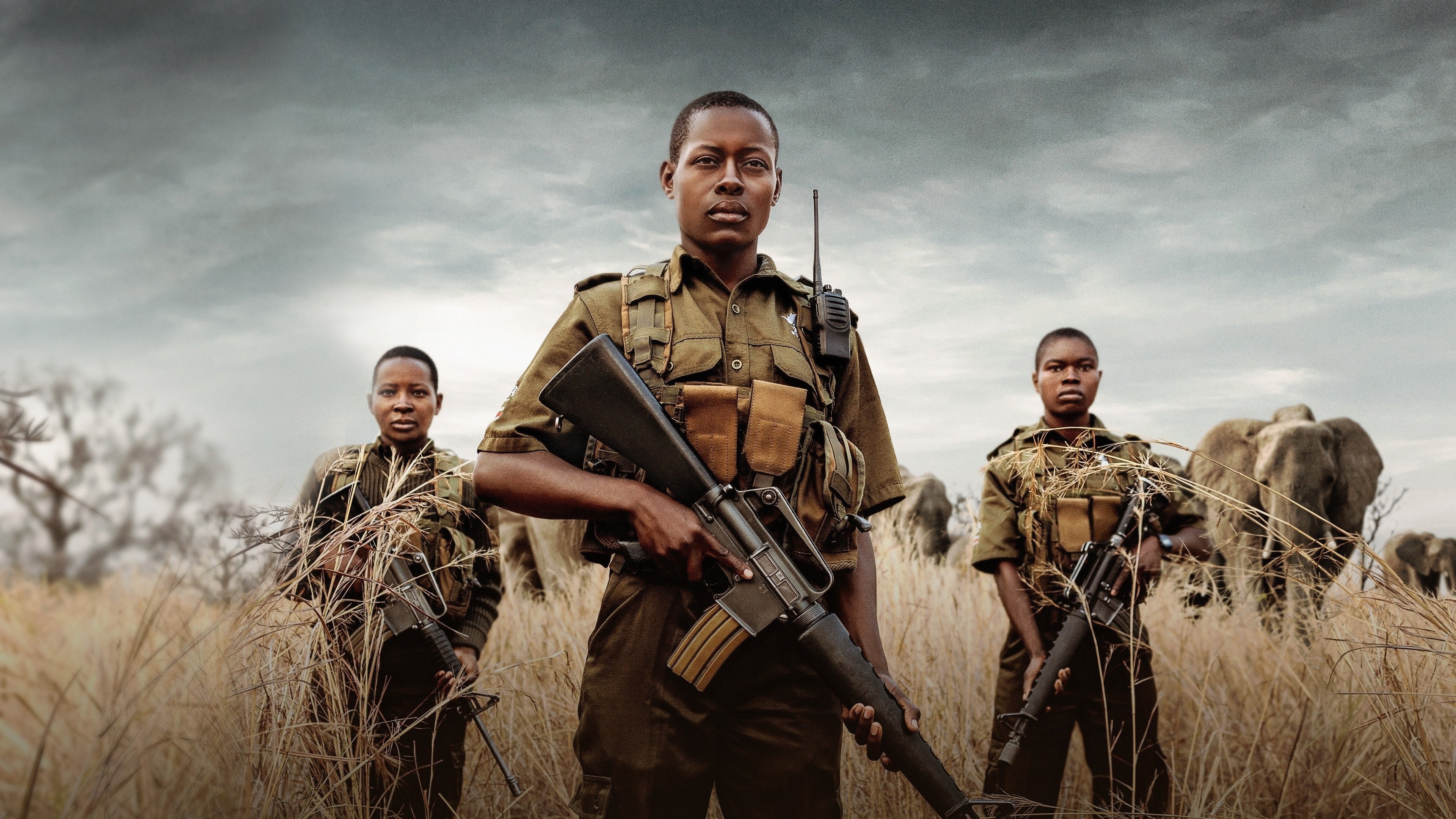 Foto de AKASHINGA: THE BRAVE ONES