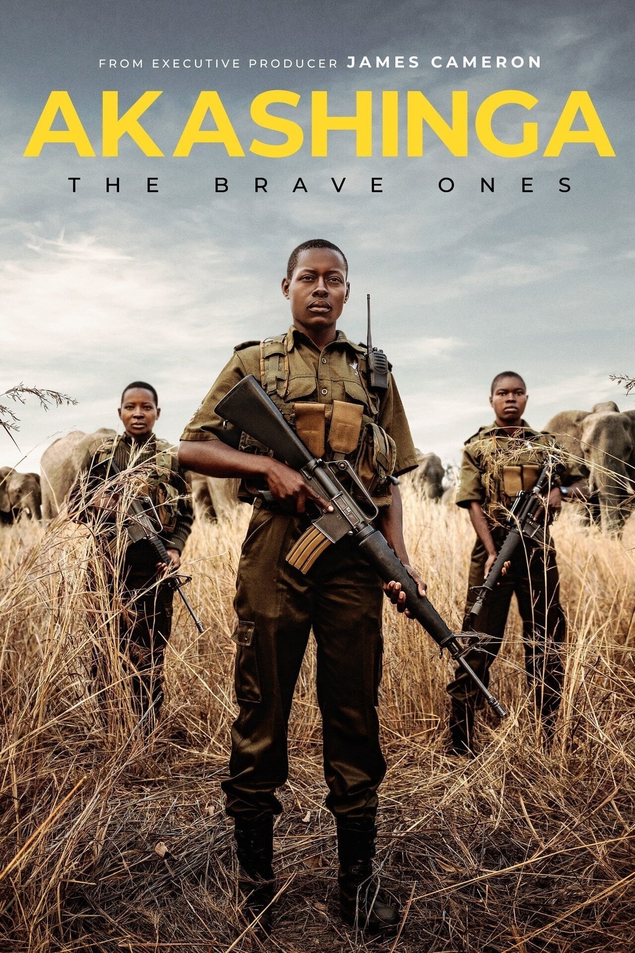 Poster de AKASHINGA: THE BRAVE ONES