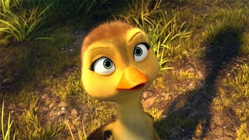 Foto de AL AIRE, PATOS