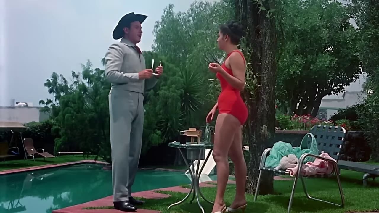 Foto de ALAZÁN Y ENAMORADO