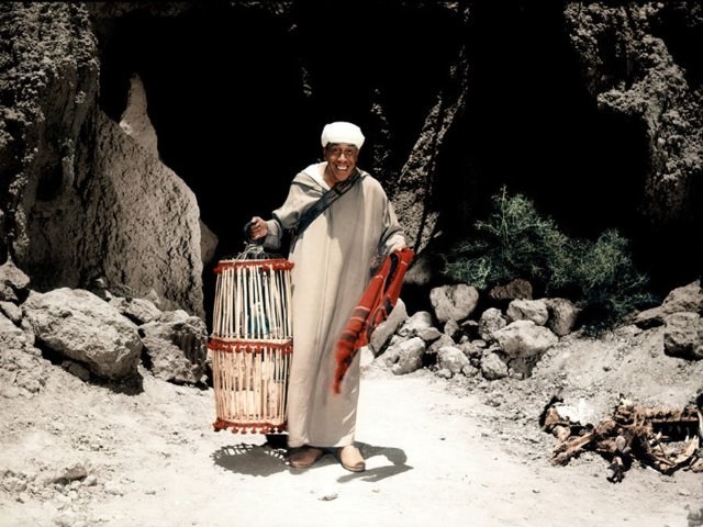 Foto de ALÍ BABÁ Y LOS CUARENTA LADRONES