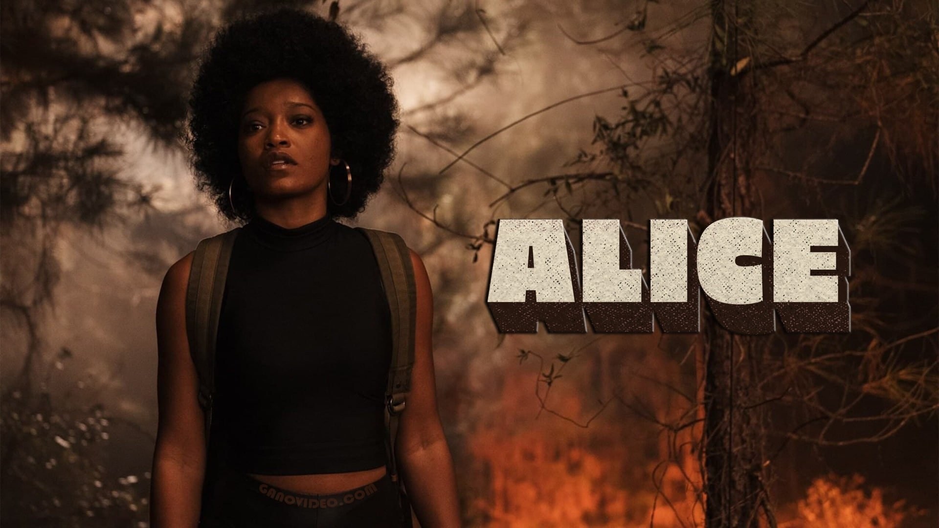 Foto de ALICE