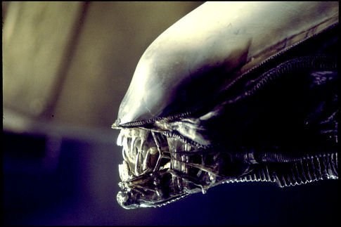 Foto de ALIEN, EL OCTAVO PASAJERO