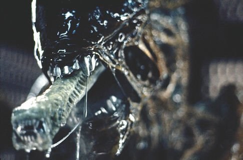 Foto de ALIEN, EL OCTAVO PASAJERO