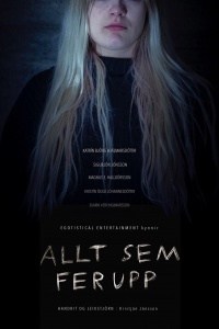 Allt sem fer upp