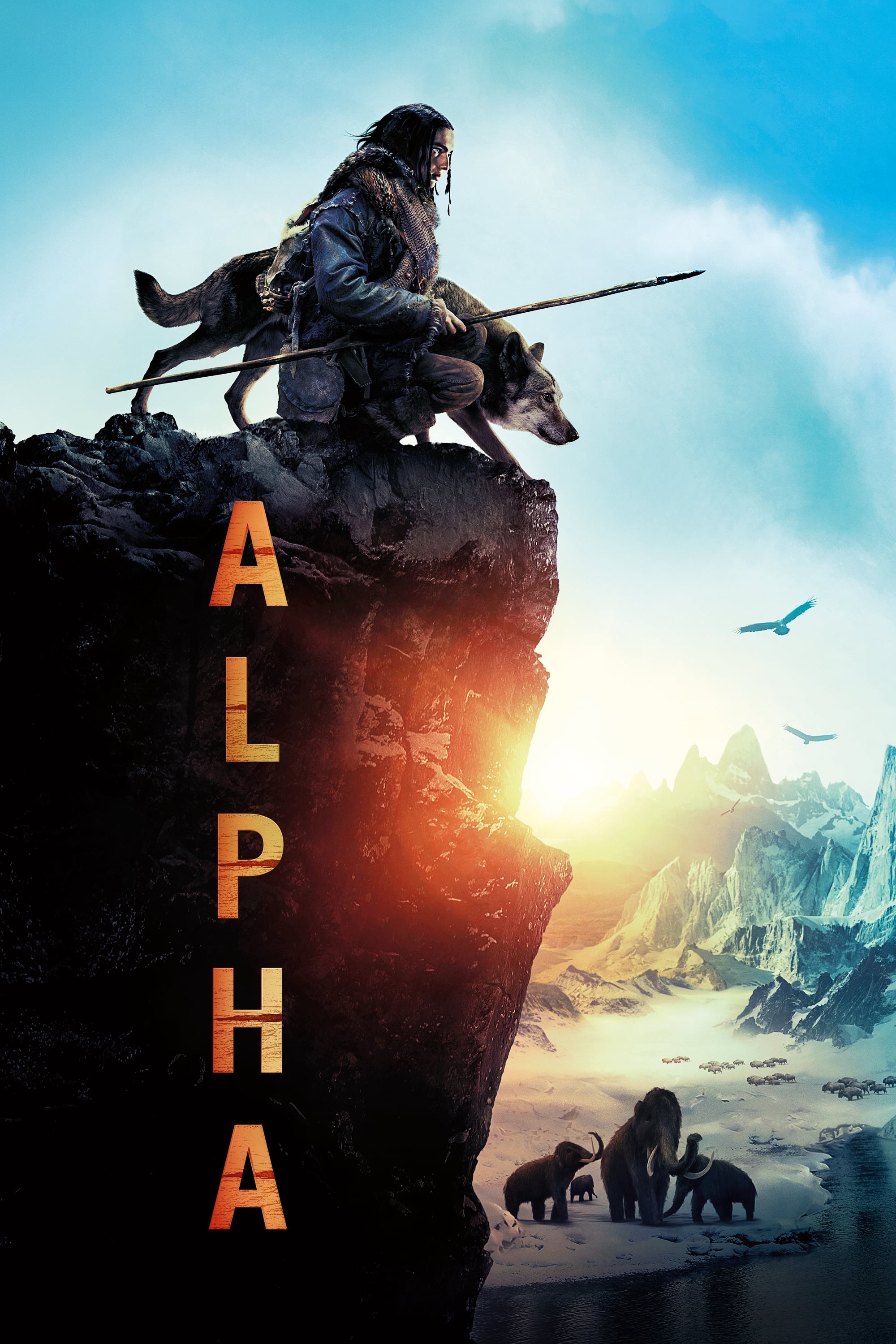 Poster de ALPHA en inglés