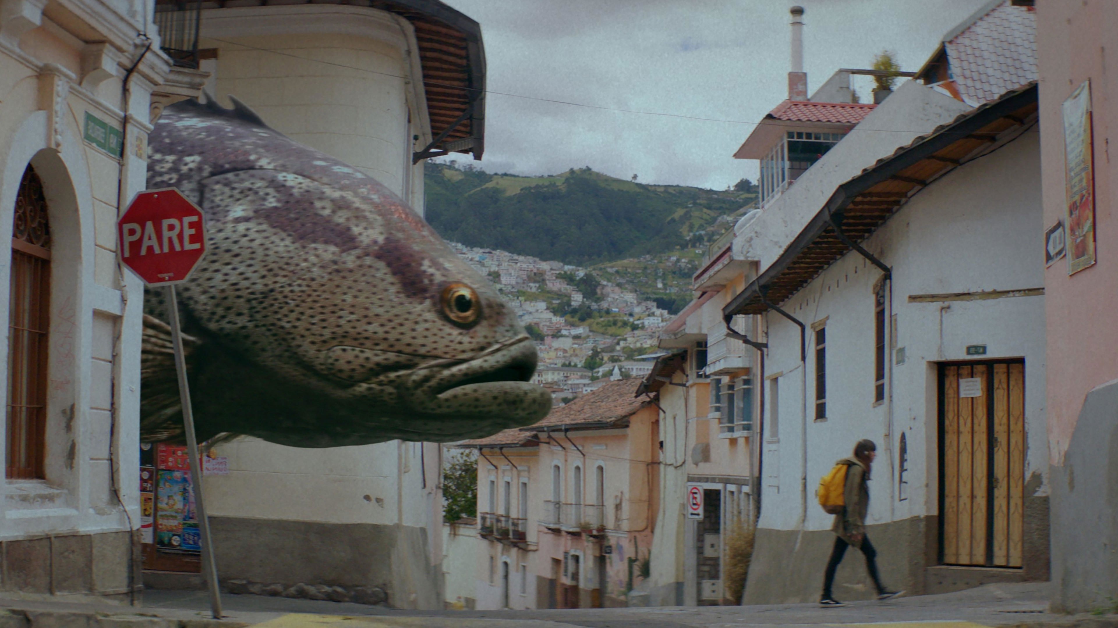 Foto de ALUCINA