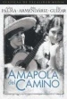 Amapola Del Camino