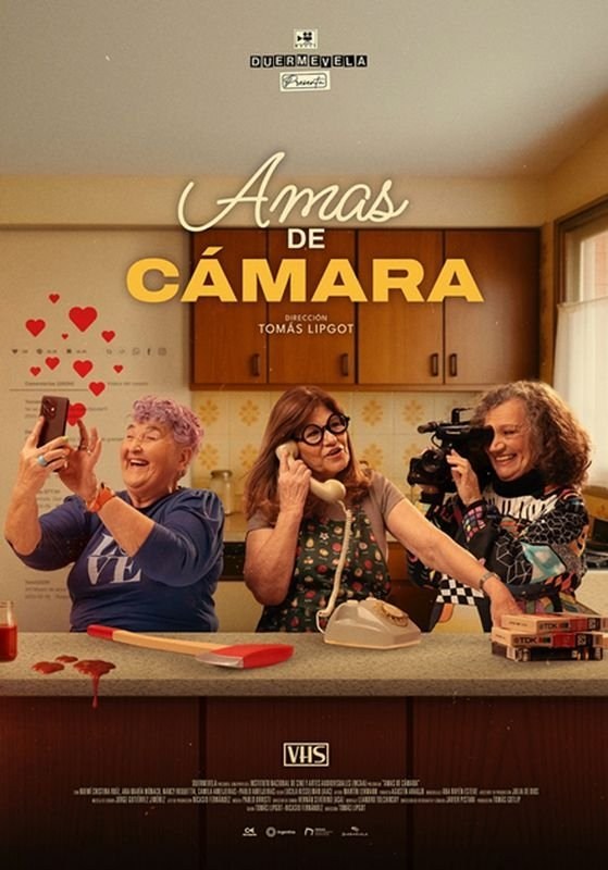 Poster de AMAS DE CÁMARA