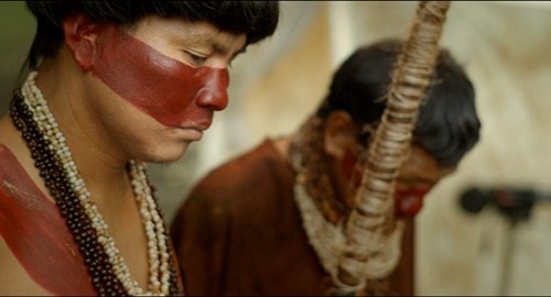 Foto de AMAZONAS