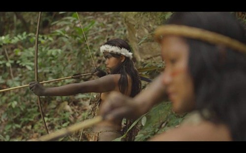 Foto de AMAZONAS