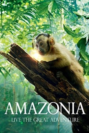 Amazonia 
