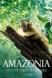 Amazonia 