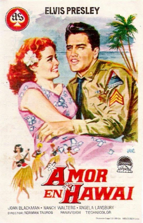 Poster de AMOR EN HAWAI en español