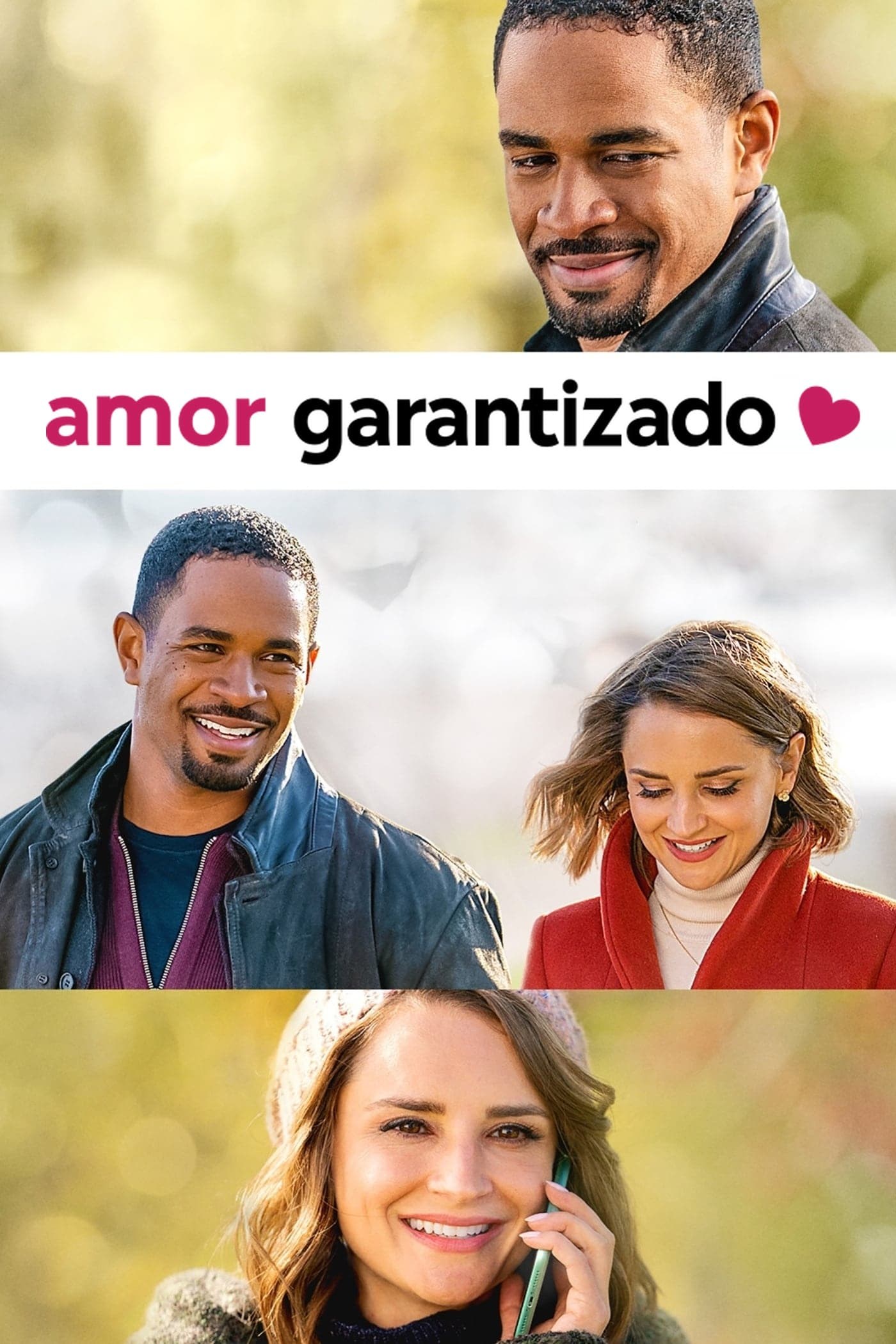 Poster de AMOR GARANTIZADO en español