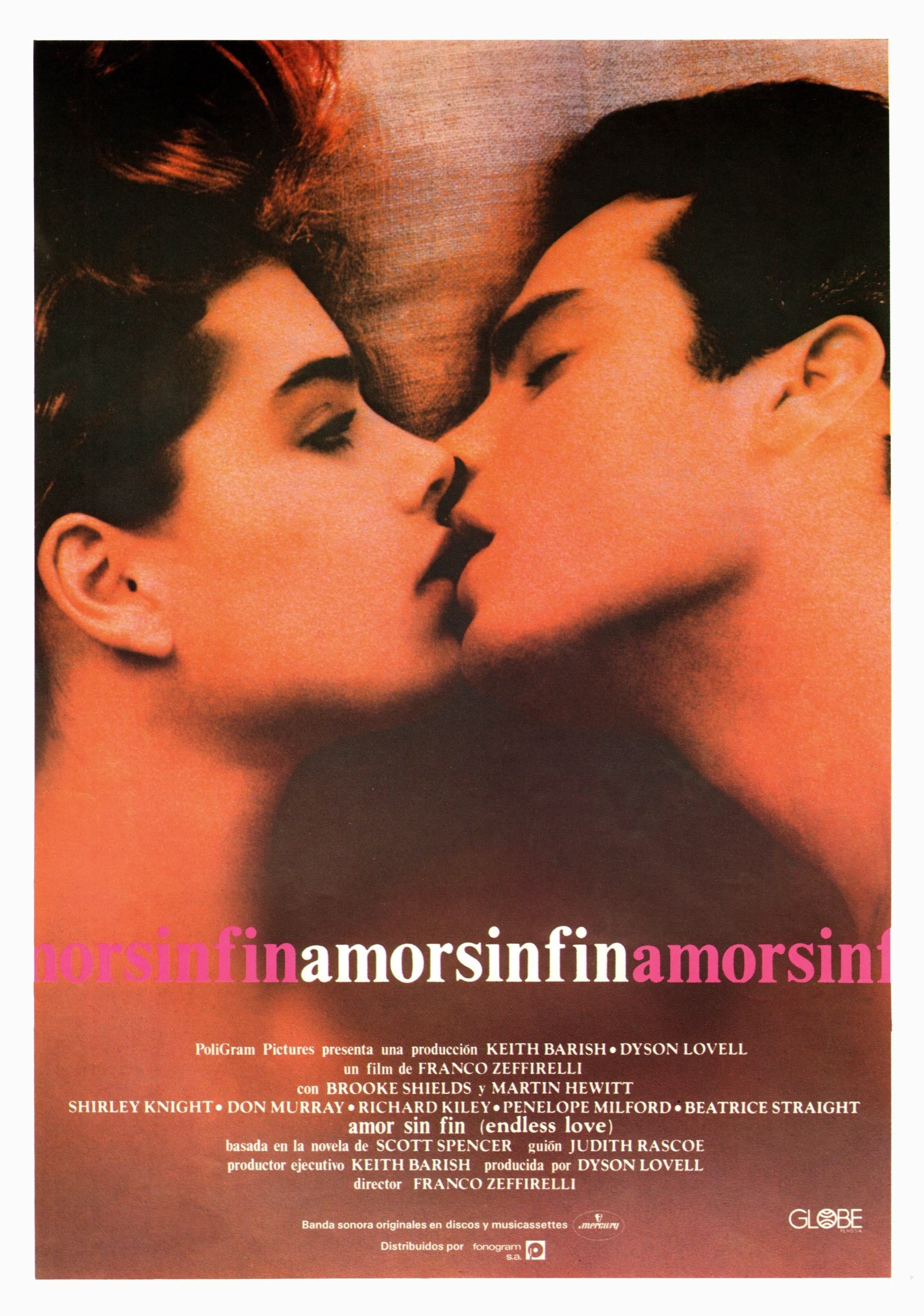 Poster de AMOR SIN FIN en español
