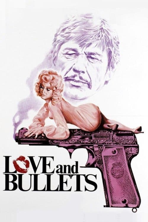 Poster de AMOR Y BALAS en inglés