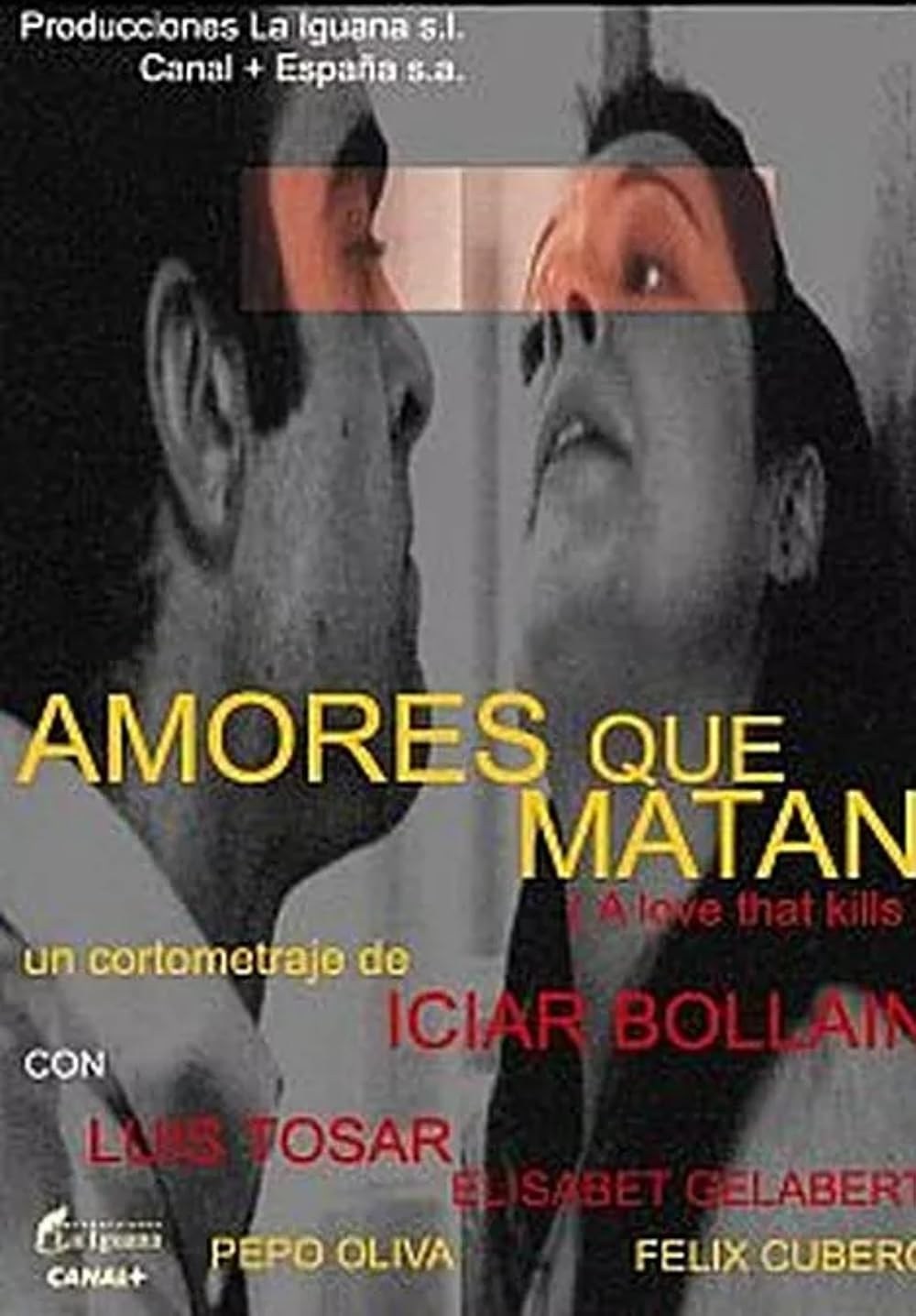 Poster de AMORES QUE MATAN