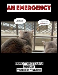 An Emergency