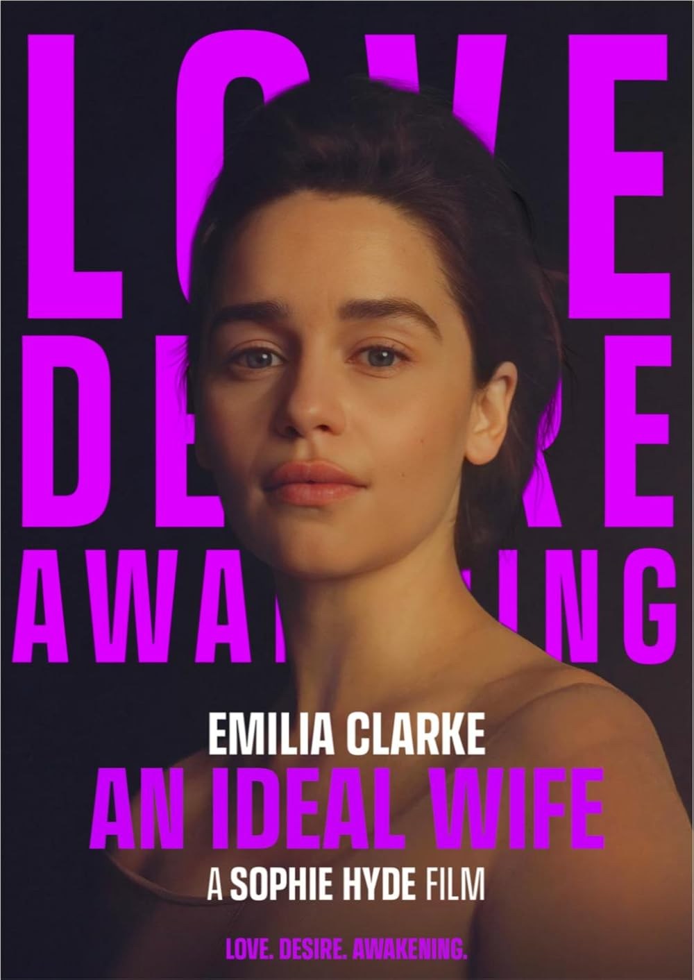 Poster de AN IDEAL WIFE