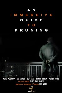 An Immersive Guide to Pruning