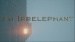 An Irrelephant
