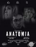 Anatomia