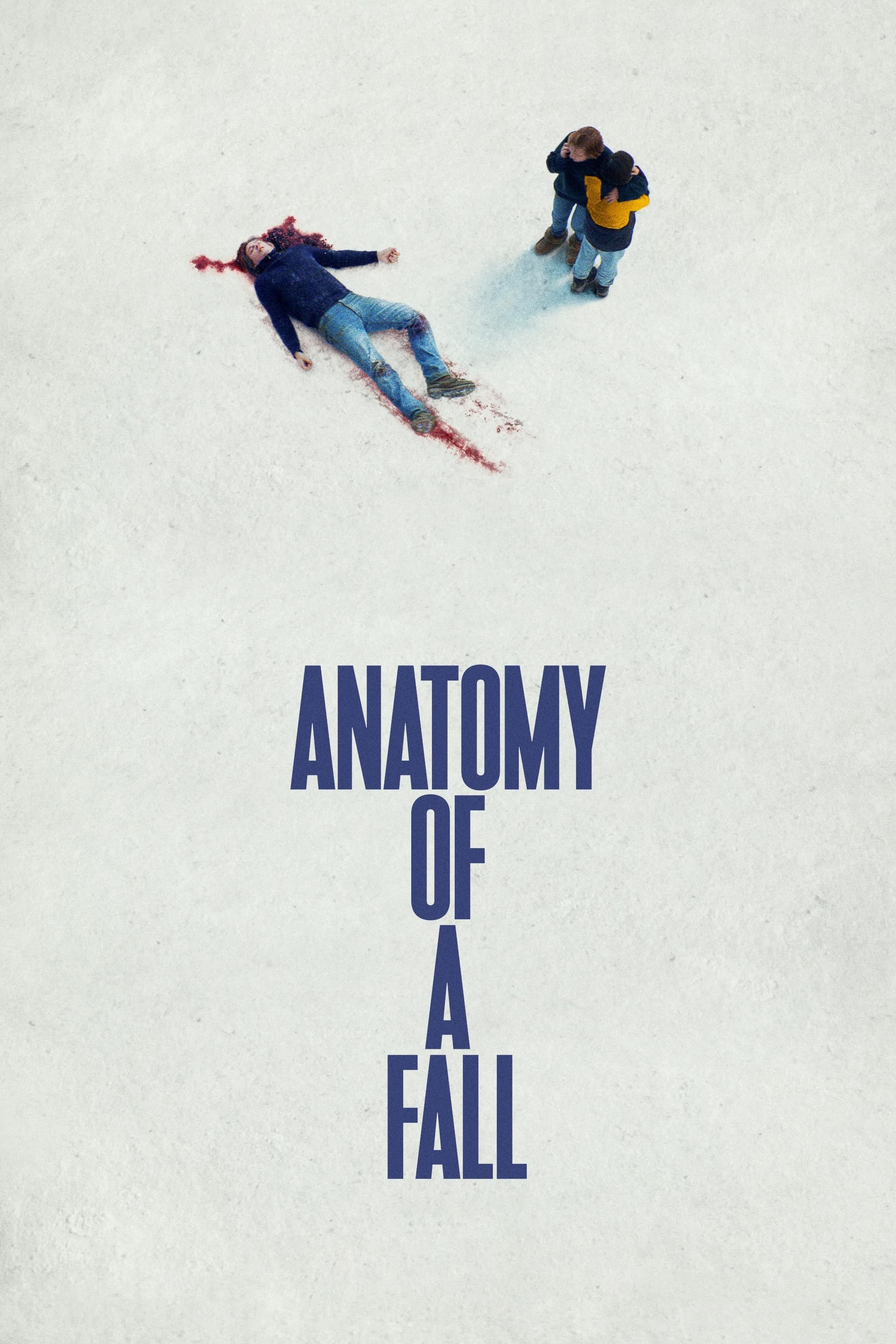 Poster de ANATOMÍA DE UNA CAÍDA en inglés