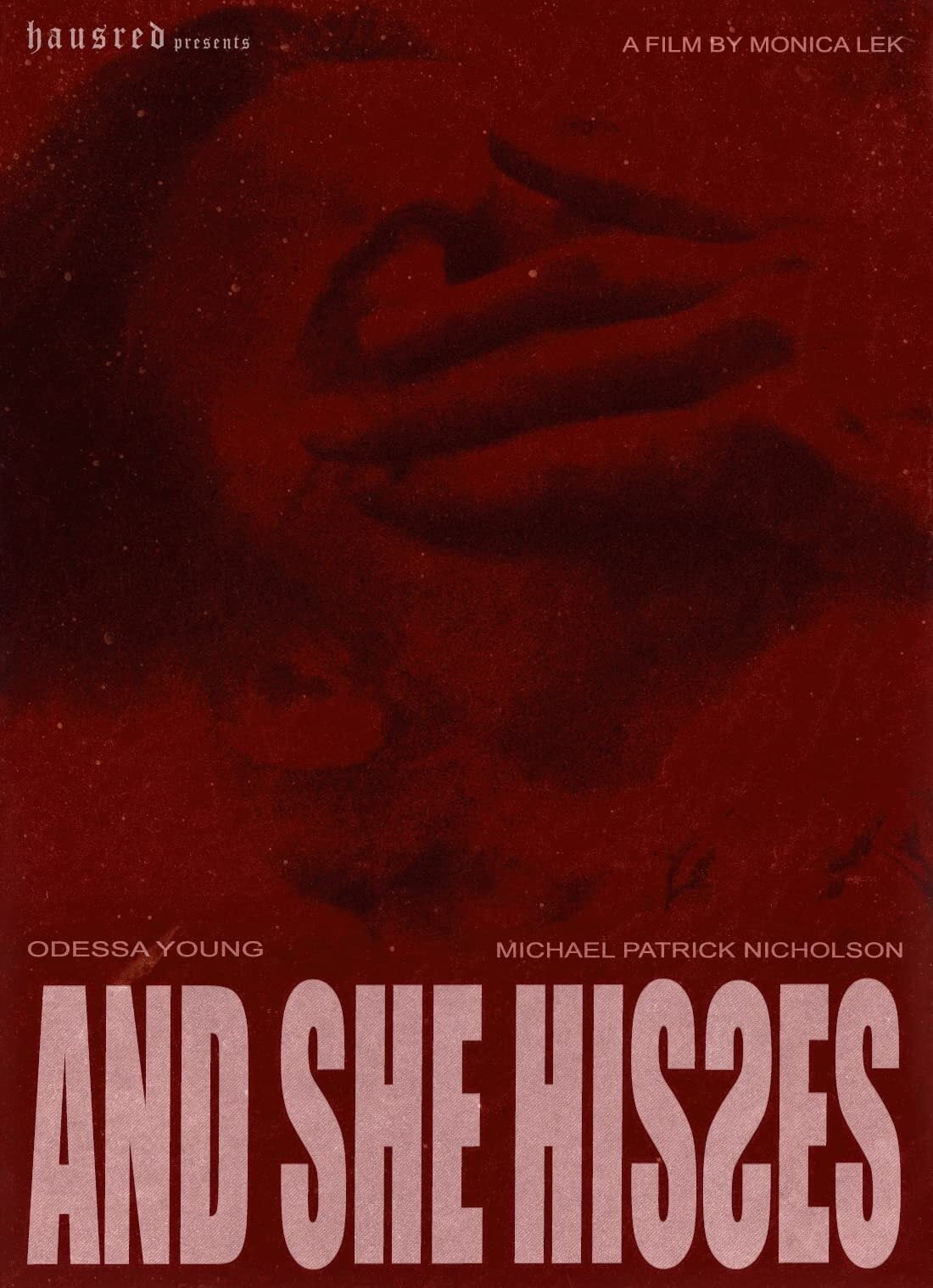 Poster de AND SHE HISSES