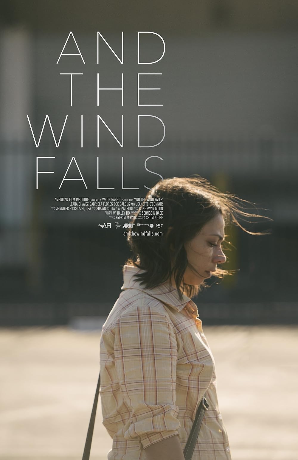 Poster de AND THE WIND FALLS
