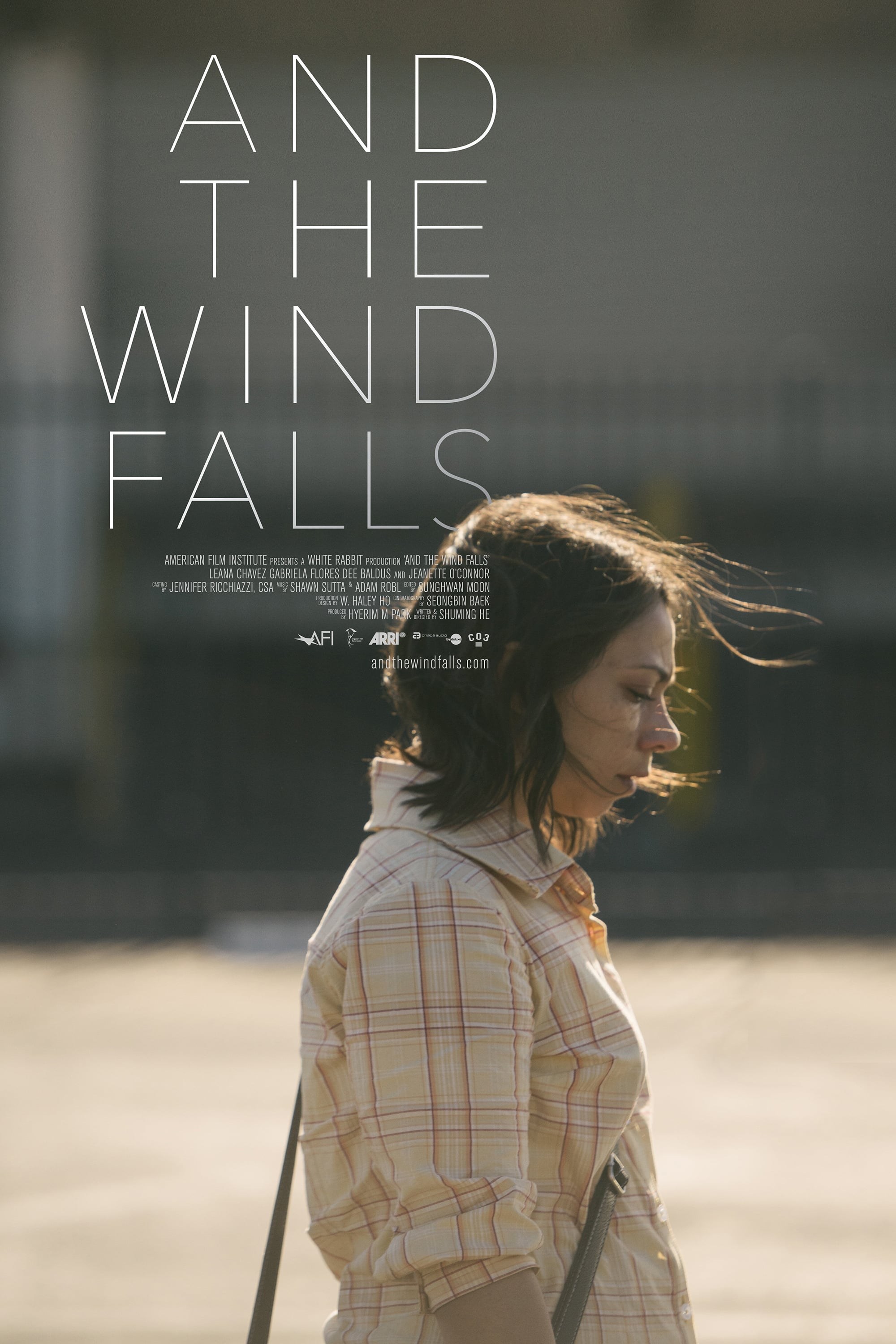 Poster de AND THE WIND FALLS