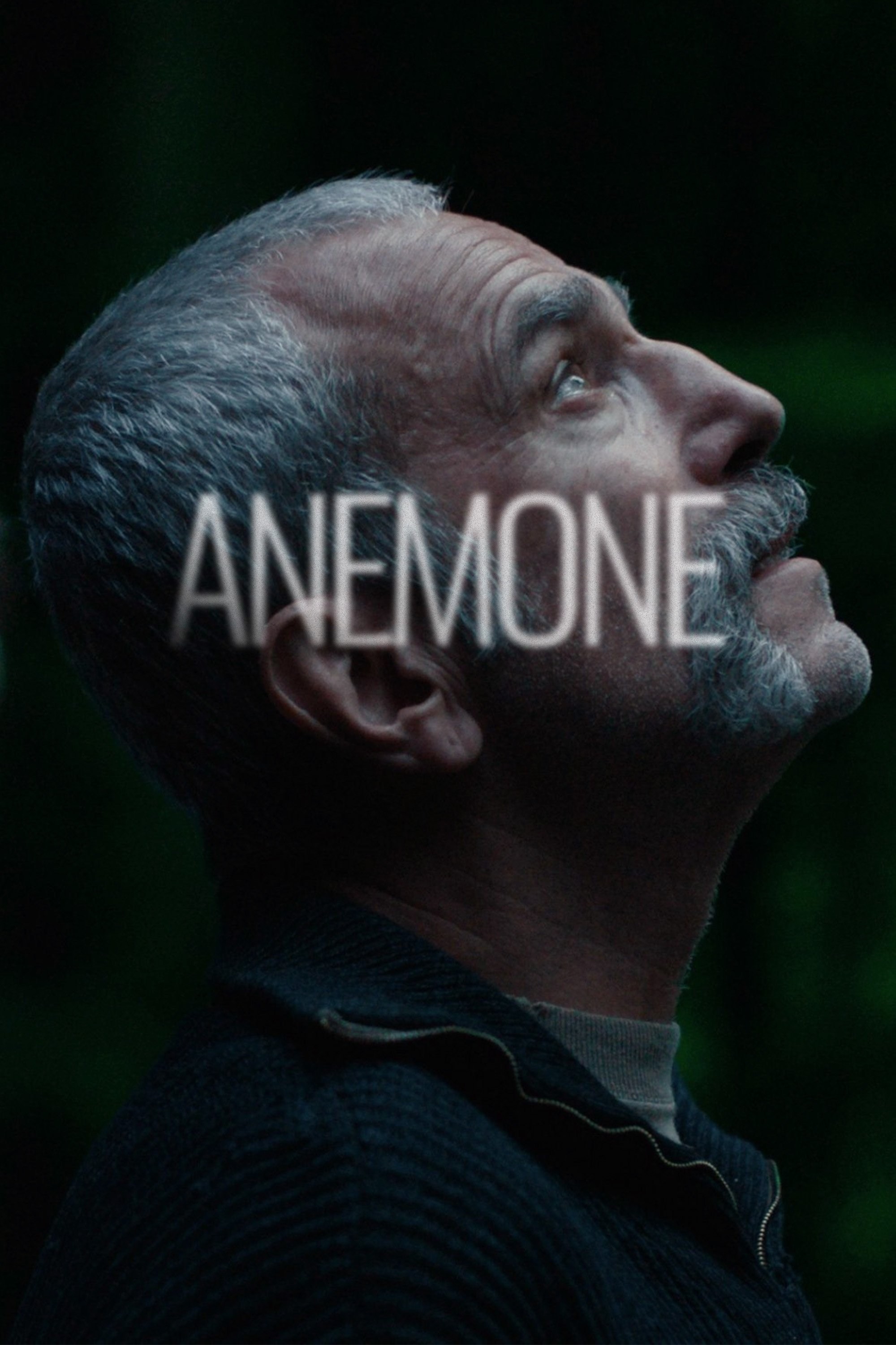 Poster de ANEMONE en inglés