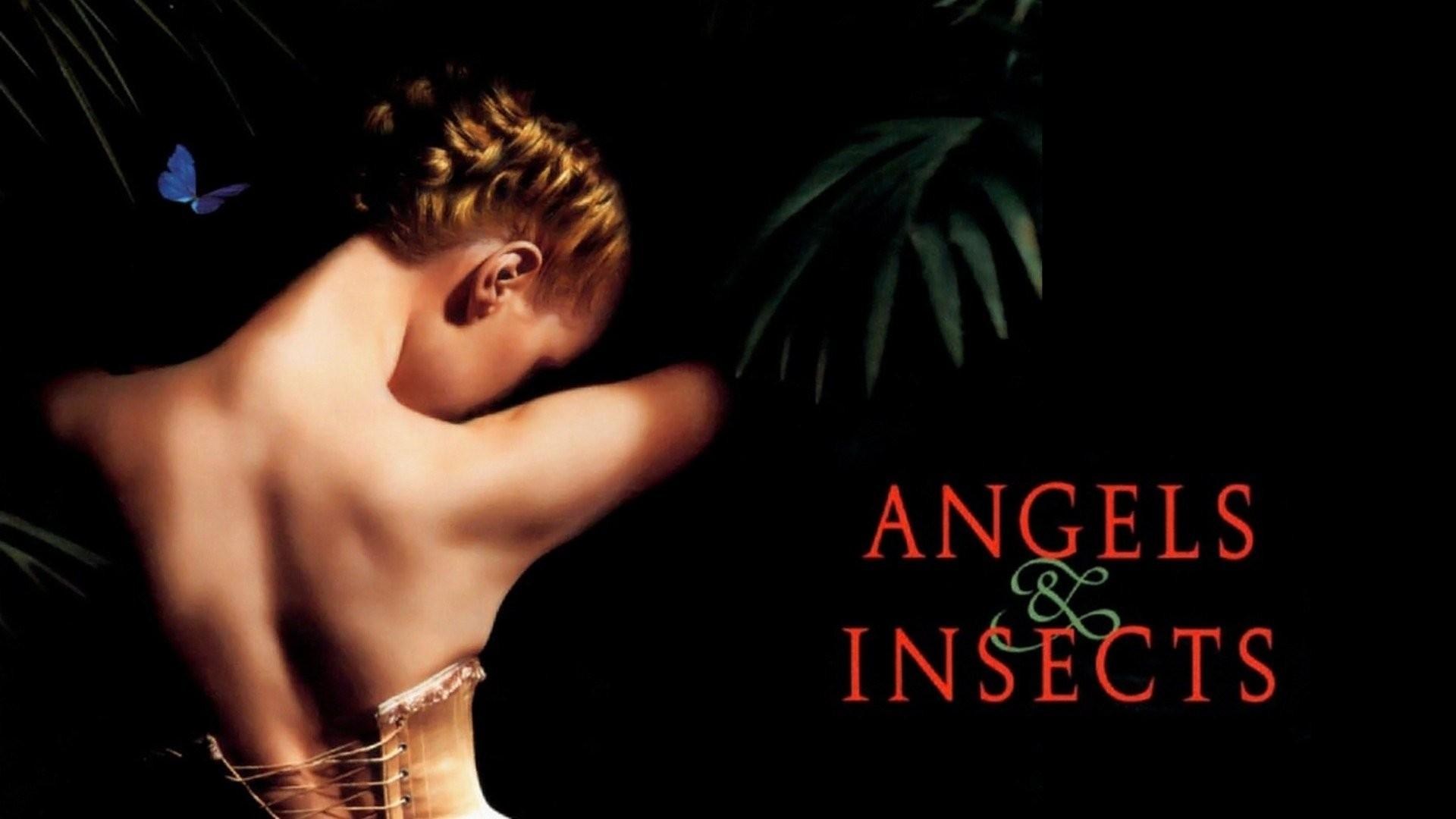 Foto de ÁNGELES & INSECTOS
