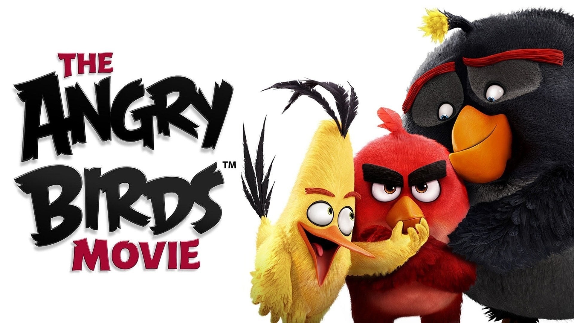 Foto de ANGRY BIRDS: LA PELÍCULA