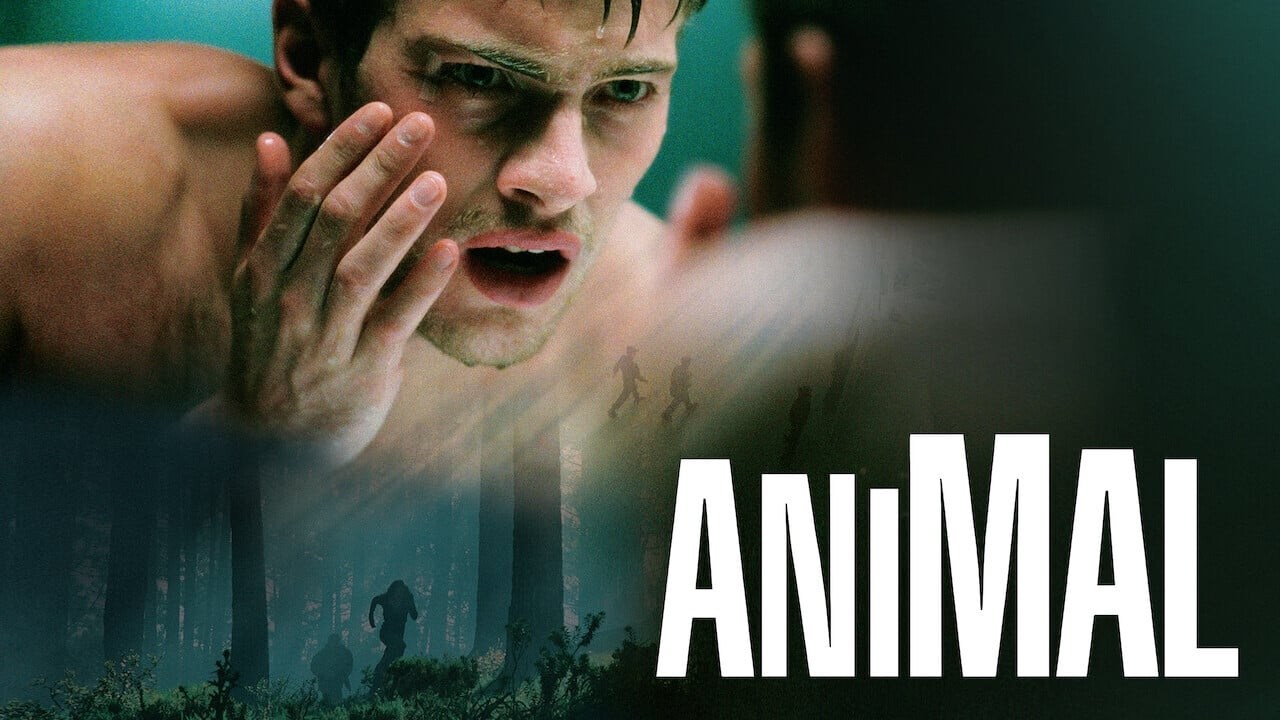 Foto de ANIMAL