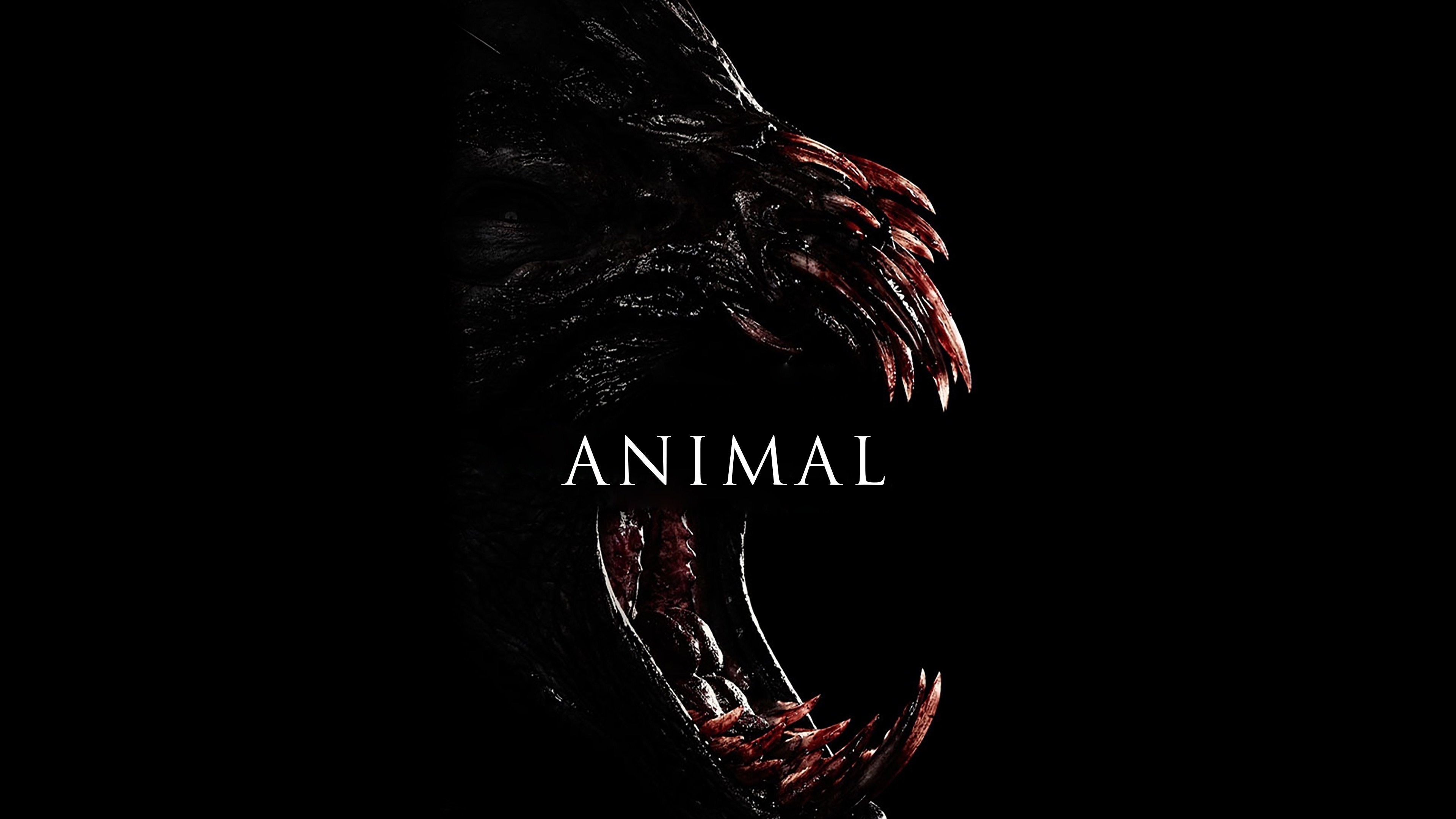 Foto de ANIMAL