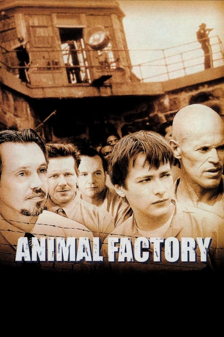 Poster de ANIMAL FACTORY en inglés