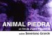 Animal Piedra