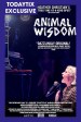 Animal Wisdom