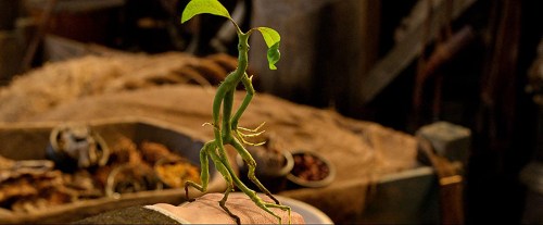 Foto de ANIMALES FANTÁSTICOS Y DÓNDE ENCONTRARLOS