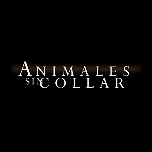Foto de ANIMALES SIN COLLAR