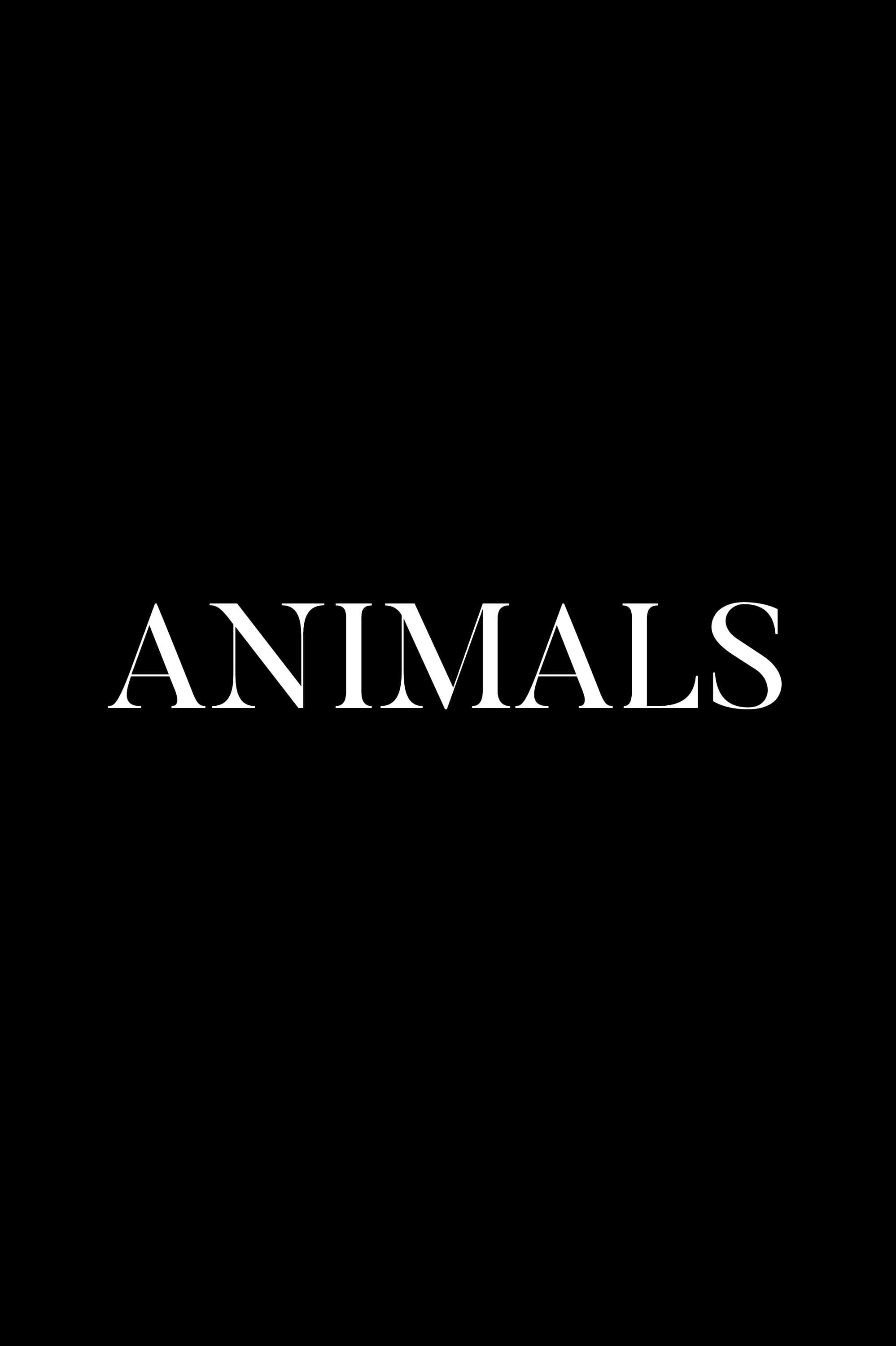 Poster de ANIMALS en inglés