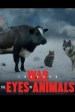 Animals of War