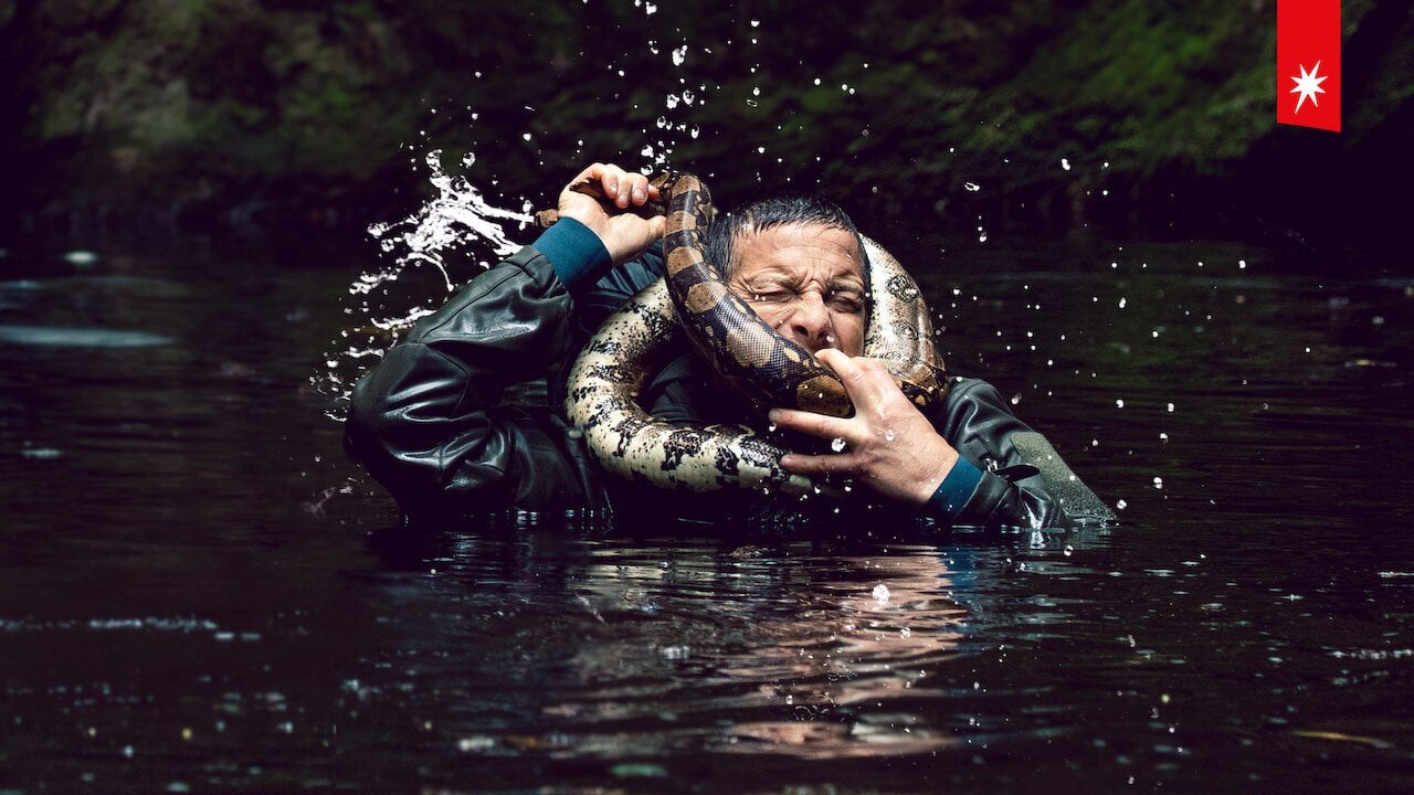 Foto de ANIMALS ON THE LOOSE: A YOU VS. WILD MOVIE