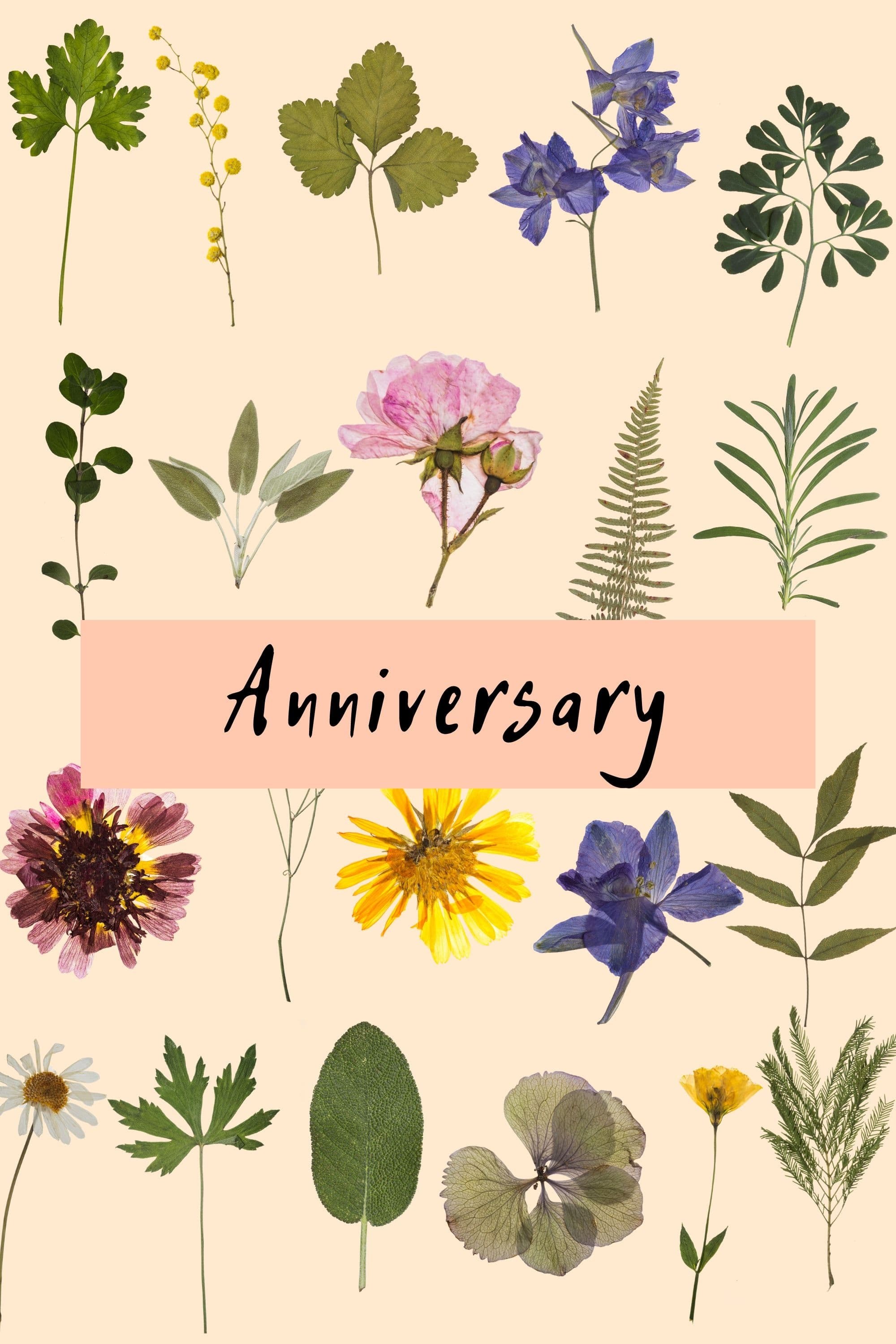Poster de ANNIVERSARY