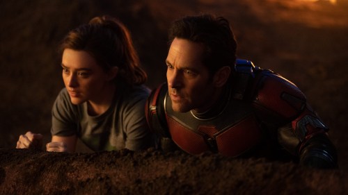 Foto de ANT-MAN Y LA AVISPA: QUANTUMANÍA