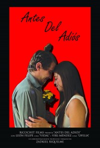 Antes del Adiós