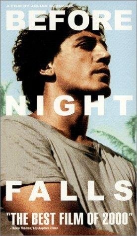 Poster de ANTES QUE ANOCHEZCA