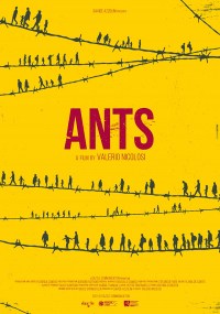 Ants