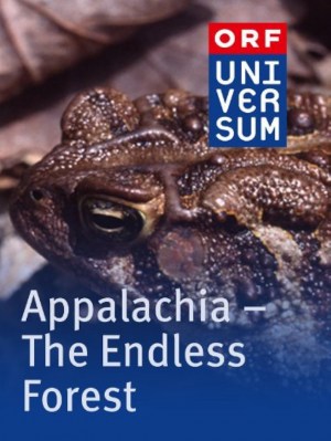 Appalachia: The Endless Forest